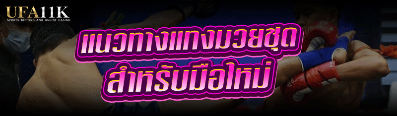 แนวทาง แทงมวยชุด สำหรับมือใหม่